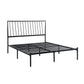 Newton Queen Metal Platform Bed Frame