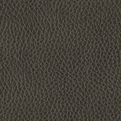 Sofá de dos piezas reclinable eléctrico Center Line