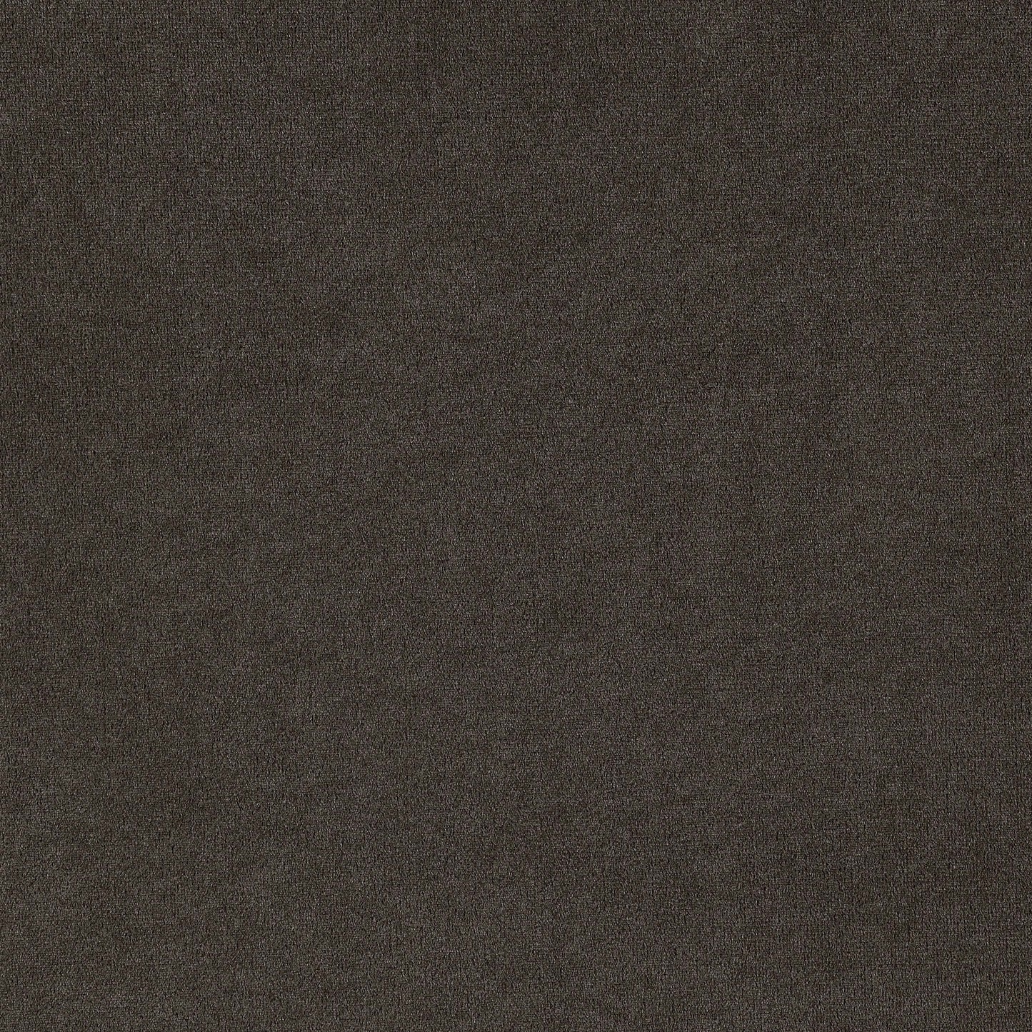 Sillón de comedor Alana tapizado en terciopelo marrón