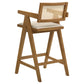 Silla de bar de ratán tejido Kane en nogal claro (juego de 2)