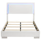 Cama con panel LED completo Felicity Wood en blanco de alto brillo