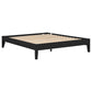 Cama Queen con plataforma universal Hounslow, color negro