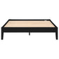 Cama Queen con plataforma universal Hounslow, color negro