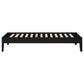 Cama de plataforma universal Hounslow Twin, color negro