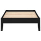 Cama de plataforma universal Hounslow Twin, color negro