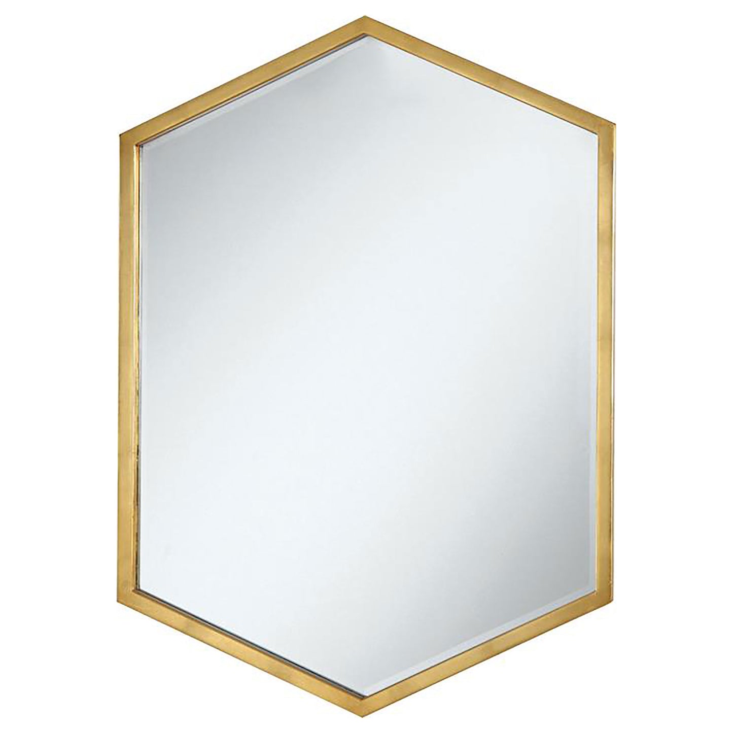 Espejo de pared hexagonal Bledel de 24 x 34 pulgadas, dorado