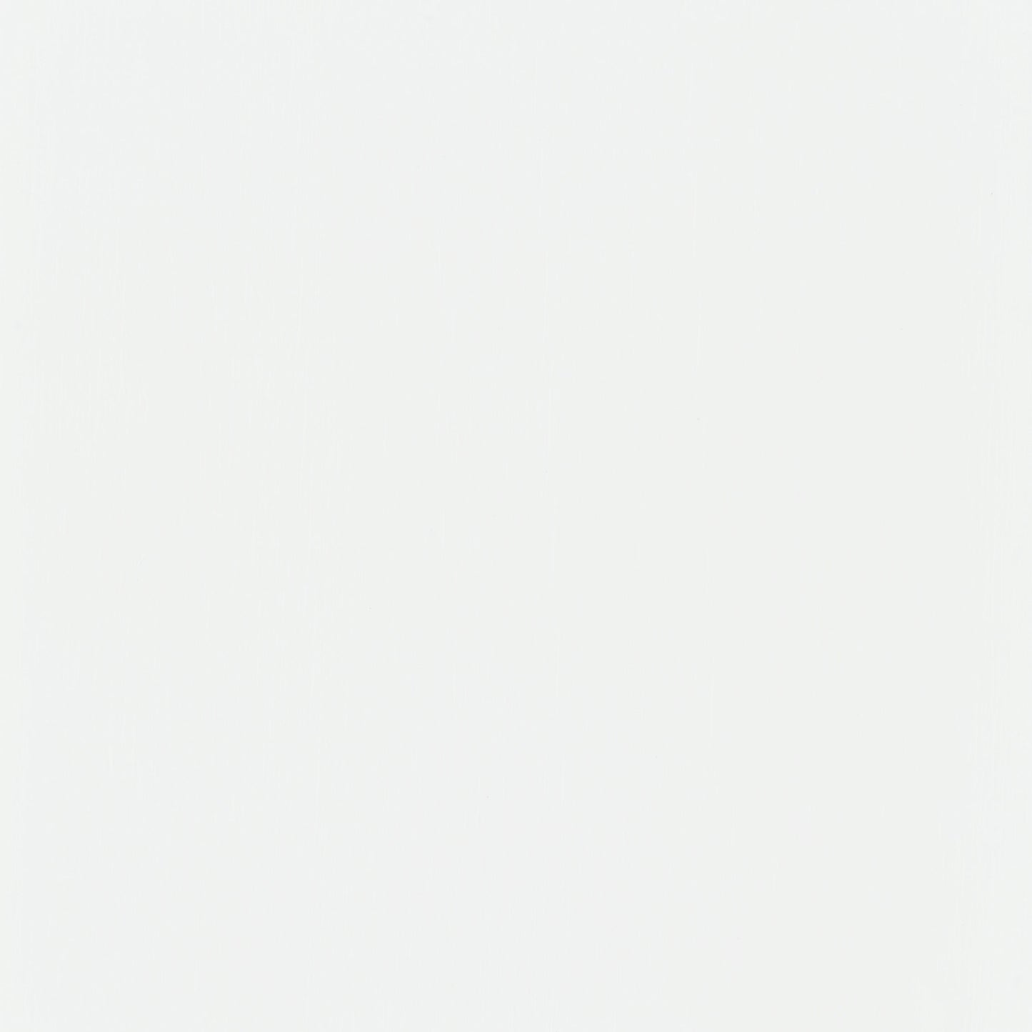 Biombo plegable Shoji de 4 paneles Roberto, color blanco