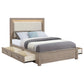 Cama Kenora Eastern King de 56 pulgadas con almacenamiento LED en marrón cebada