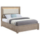 Cama Kenora Eastern King de 56 pulgadas con almacenamiento LED en marrón cebada