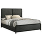 Cama Queen tapizada Cavelle de 51 pulgadas, color negro