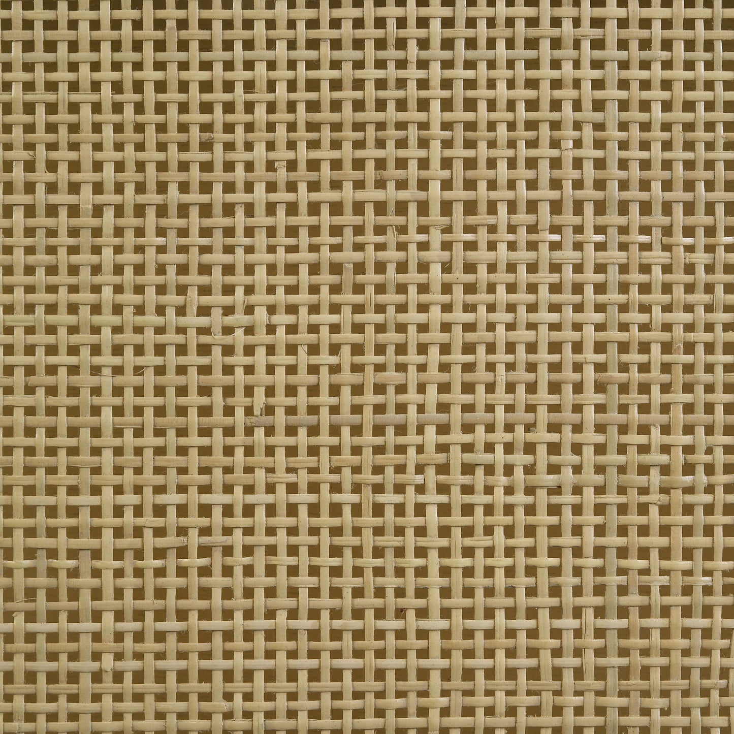 Mueble de TV de dos puertas de caña de ratán Arini, consola multimedia, color arena