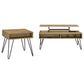 Juego de mesa auxiliar y de centro elevable de 2 piezas Fanning en roble dorado