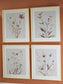 Juego de arte de pared Chettings (4/CN)